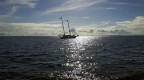 Navigare Navigare
