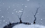 Inverno Astratto Inverno Astratto