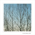 Silenzio...parla l'inverno