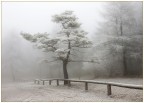 Brrrrr Brrrrr
