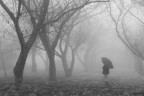 La magia della nebbia