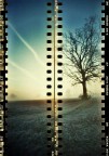 al mattino... ma presto, presto ;/) pinhole al mattino... ma presto, presto ;/) pinhole