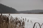 Nord Nord