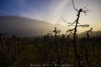 Ponte in Valtellina
Meleti al Tramonto