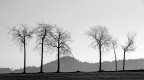 Lessinia