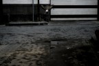 ''' '''