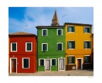 Il Piccione Il Piccione