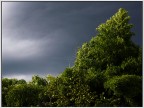 E' arrivato il temporale! E' arrivato il temporale!