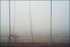 20170218-5332. Galzignano Terme 20170218-5332. Galzignano Terme