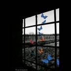 |L'uomo crede di volere la libert�.
In realt� ne ha una grande paura, perch�?
Perch� la libert� lo obbliga a prendere decisioni, e le decisioni comportano rischi.
~E.Fromm~

Canon EoS 1300D
F/3.5
1/1600
ISO-250
18mm