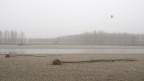 Fiume Po