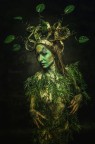 Dryad