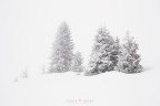 Persi nell'inverno Persi nell'inverno