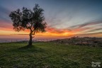 Tramonto Tramonto
