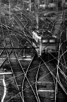 Che la diritta vie era smarrita. Che la diritta vie era smarrita.