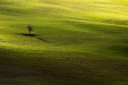 Alone Alone