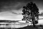 Aspettando l'alba