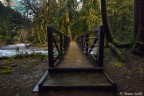 The bridge