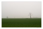 Il naufrago - Monotonie padane Il naufrago - Monotonie padane