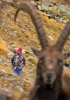 Ritratto di montagna Ritratto di montagna