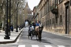 Guida turistica in carrozza Guida turistica in carrozza