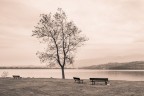 Veduta sul lago di Pusiano