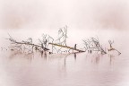 il mio fiume il mio fiume