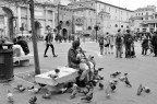 I piccioni I piccioni