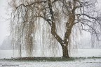 CRYING IN THE SNOW II CRYING IN THE SNOW II