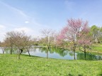 La Primavera a Milano La Primavera a Milano