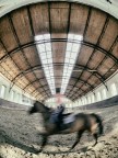 Pinerolo,La Cavallerizza Caprilli (interno)