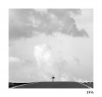 19% 19%