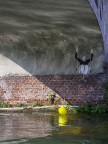 Giochi sull'acqua