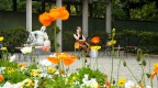 Mentre fotografavo fiori.... Mentre fotografavo fiori....