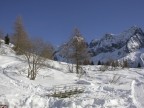 neve neve