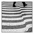 riga bianca riga nera