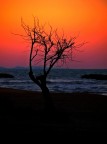 Tramonto a Francavilla al Mare Tramonto a Francavilla al Mare