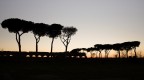 Appia_Silhouette