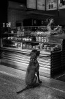 Milano, DSC4403 Milano, DSC4403