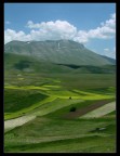 Castelluccio di Norcia - La fioritura (2) Castelluccio di Norcia - La fioritura (2)