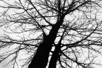 High contrast High contrast