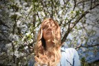 spring spring