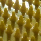 yellow yellow