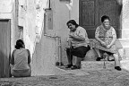 cerca il gatto cerca il gatto