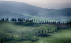 Cipressi Cipressi