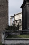 Foro, Roma Foro, Roma