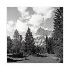 ciuchino ;/) Hasselblaski