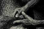 Hands Hands