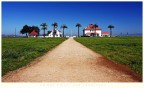 CRISSY FIELD, SAN FRANCISCO CRISSY FIELD, SAN FRANCISCO
