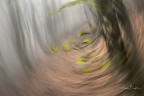 vertigo vertigo